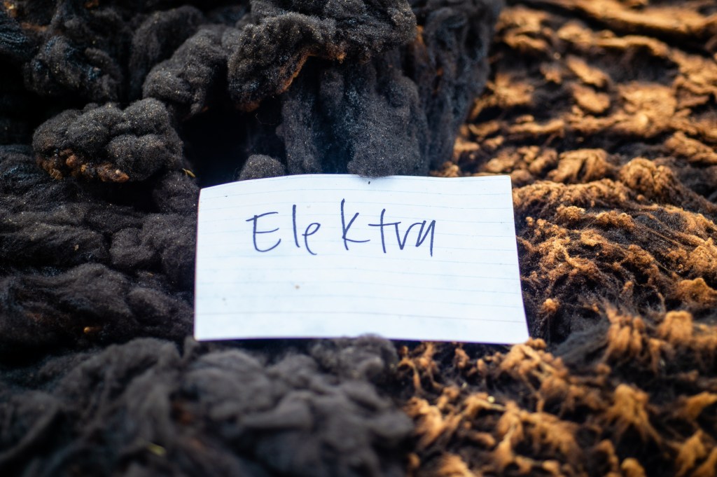 Elektra’s Black Rooed&nbsp;Fleece