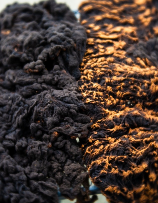 Elektra's Raw Fleece