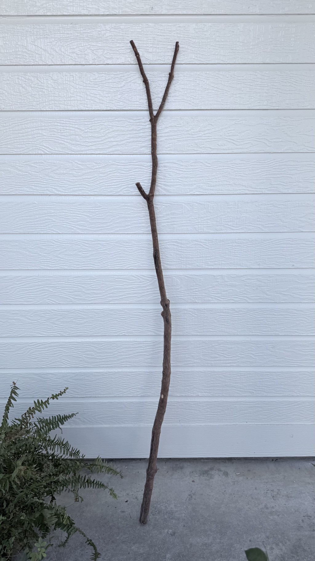 Making a Floor&nbsp;Distaff