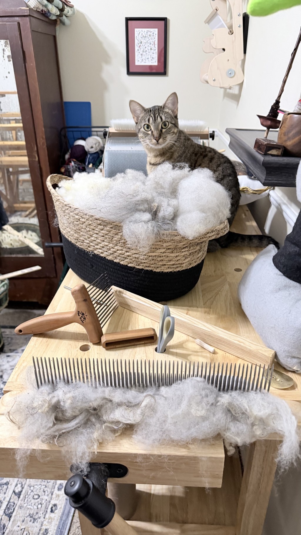 Athena’s Double-Coated Shetland&nbsp;Fleece